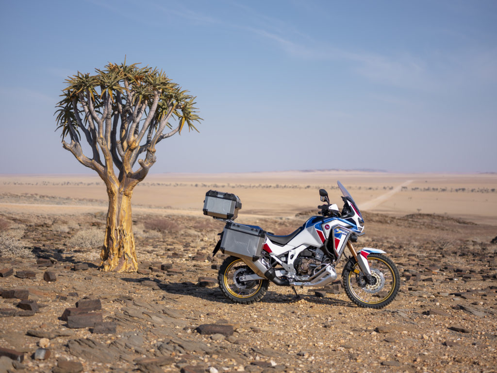2020 Honda Street Models